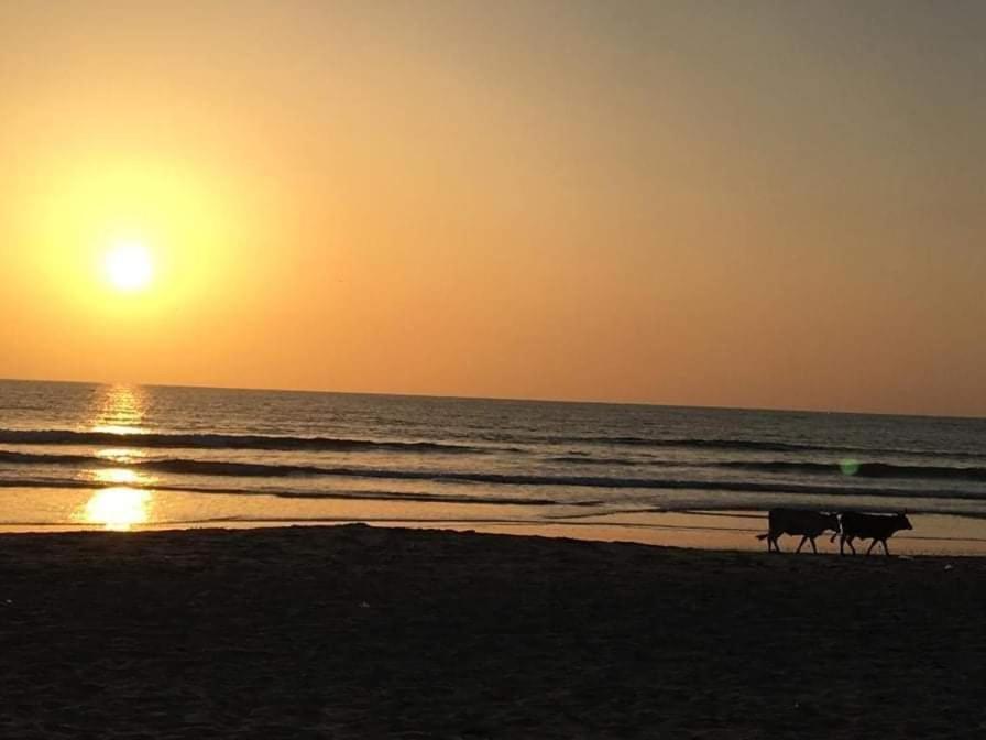 Kinkiliba Beach Lodge Sanyang Ngoại thất bức ảnh